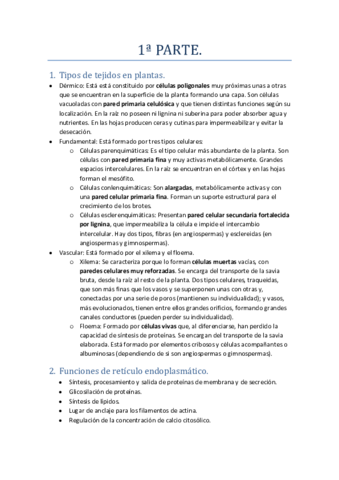 Examen-1a-Parte.pdf