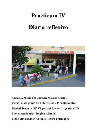 Diario-Reflexivo-Practicum-IV.pdf