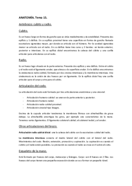 ANATOMÍA. Tema 15..pdf