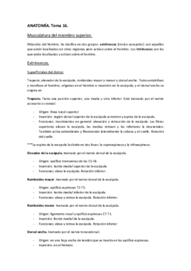 ANATOMÍA. Tema 16..pdf