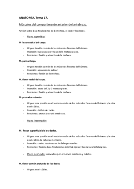 ANATOMÍA. Tema 17..pdf