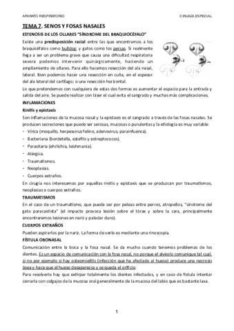 TEMA-7.pdf
