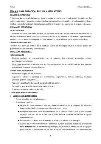 TEMA-6.pdf