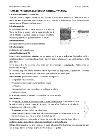 TEMA-10.pdf