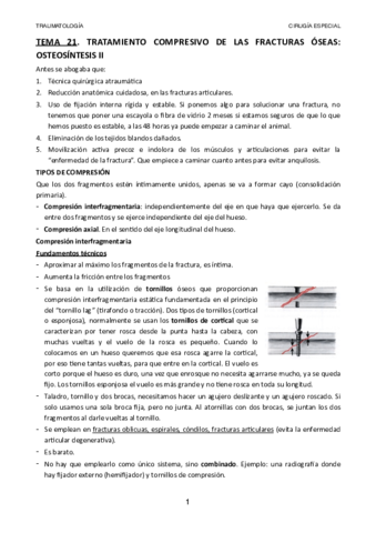 TEMA-21.pdf