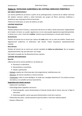 TEMA-24.pdf