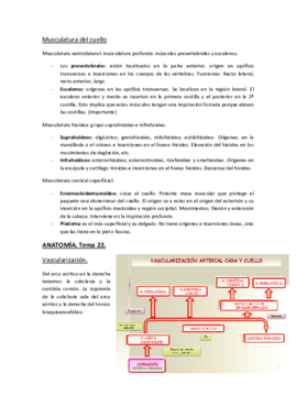 ANATOMÍA. Tema 22..pdf