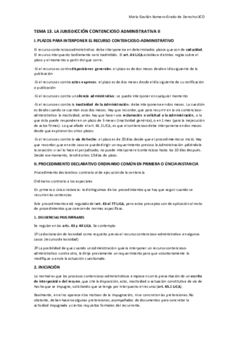 TEMA-13-ADMINISTRATIVO-.pdf