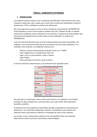 TEMA-6.pdf