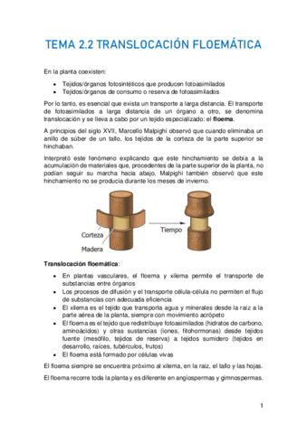 TEMA-2.pdf