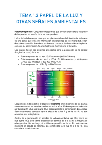 TEMA-1.pdf
