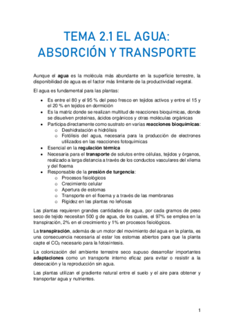 TEMA-2.pdf