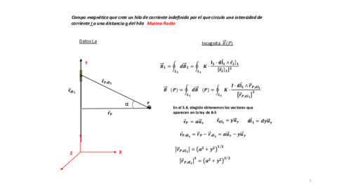 magnetico-1problemas-2.pdf