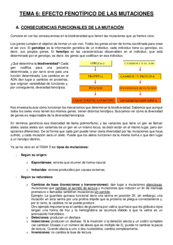 Tema-6-Efecto-fenotipico-de-las-mutaciones.pdf