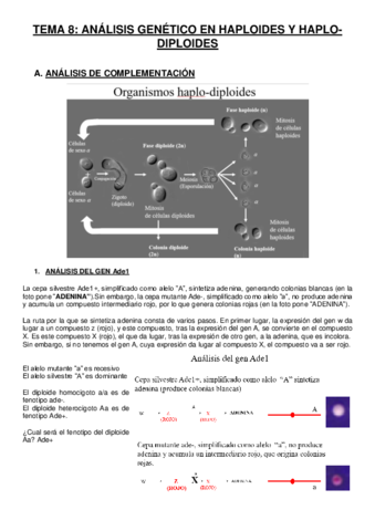 TEMA-8-Analisis-genetico-en-haploides-y-haplo-diploides.pdf