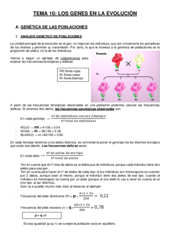 TEMA-10-Los-genes-en-la-evolucion.pdf
