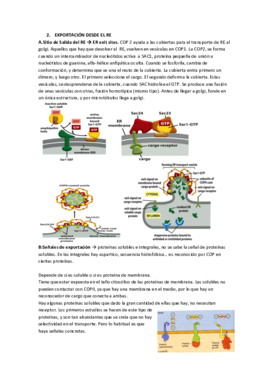 Tema 2 parte 2 biología celular Ángel.pdf