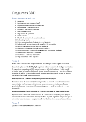 Preguntas-BDD.pdf