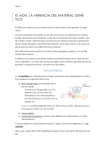 TEMA-1.pdf