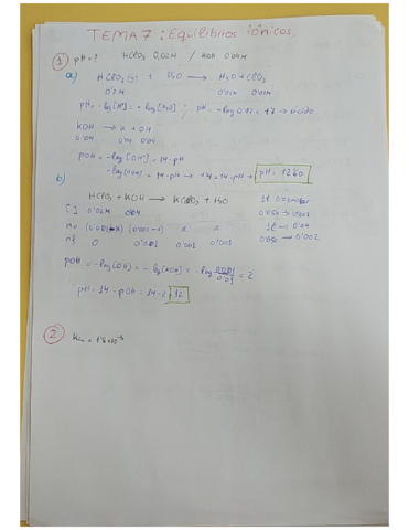 Ejercicios-resueltos-T7-Quimica.pdf