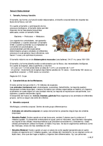 Tema-2-Biologia-Cyta-1o-copia.pdf