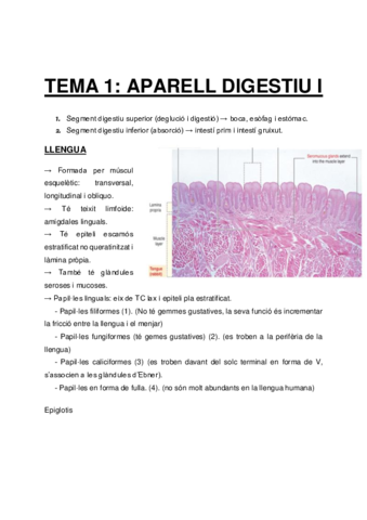 Histologia-examen-2-.pdf