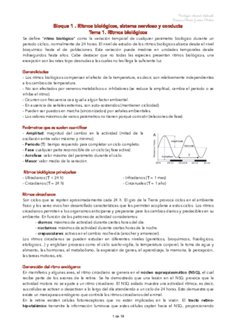 FAAP-RITMOS-Y-CONDUCTA.pdf