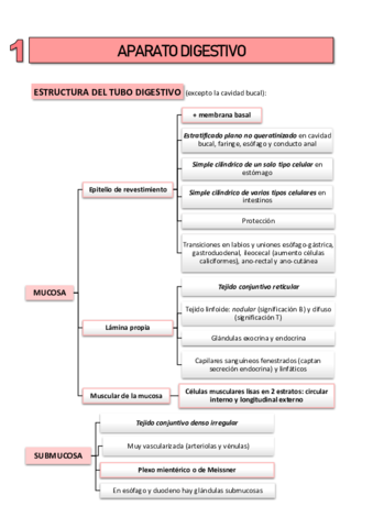histo-2-digestivo.pdf