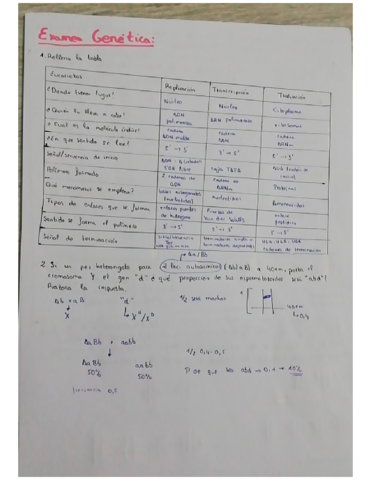 Examen-Genetica-Diciembre.pdf