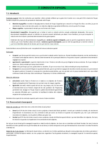 Apunts-tema-7.pdf