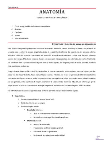 T13-Aparato-circulatorio-FET.pdf