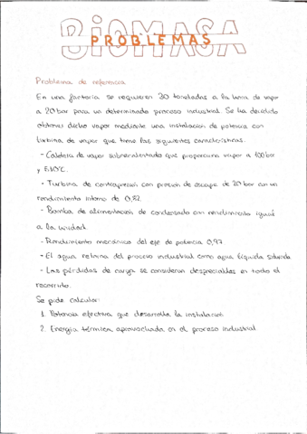 Problemas-BIOMASA.pdf