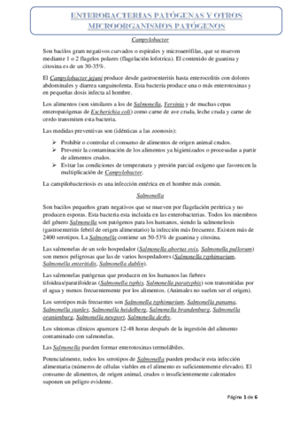 Enterobacterias-Patogenas.pdf