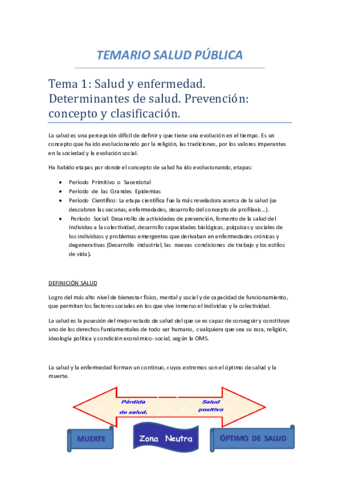Temario-salud-publica.pdf