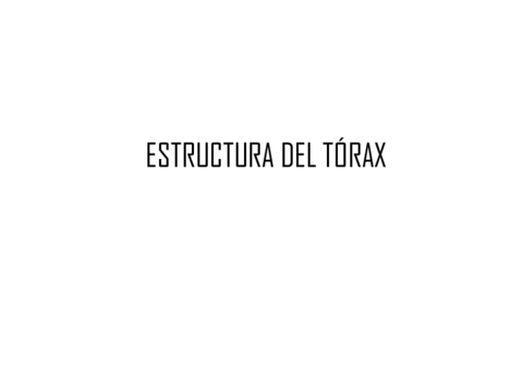 ESTRUCTURA-DEL-TORAX.pdf