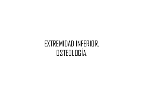 EXTREMIDAD-INFERIOR.pdf