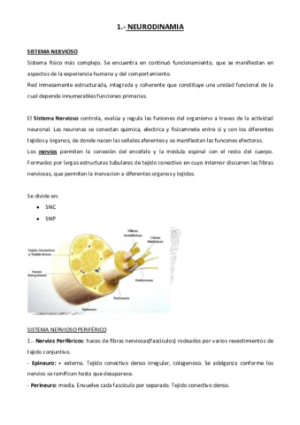 Temario-Completo-Clinicas-III-.pdf