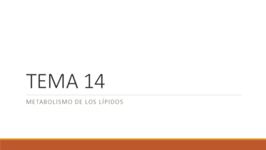 TEMA 14. Metabolísmo lipídico.pdf