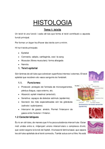 HISTOLOGIA-examen-1.pdf