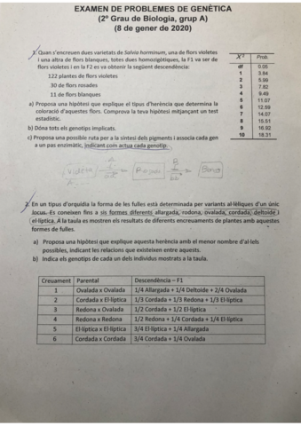 examen-problemas-genetica-1-convocatoria.pdf