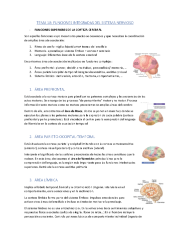 TEMA-18.pdf