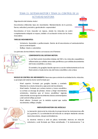 TEMA-15.pdf