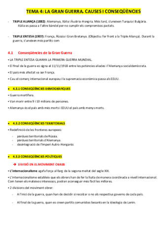 IGM-CAUSES-I-CONSEQUENCIES.pdf