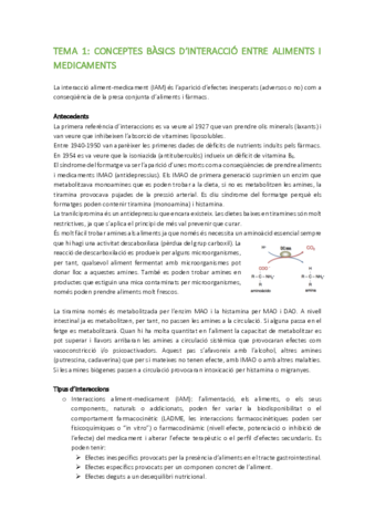 TEMARI-INTERACCIO.pdf