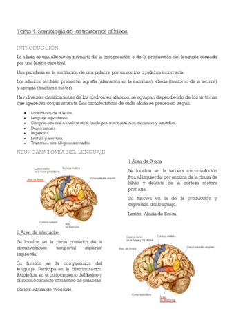 Neuropsicologia-T-45-y-6.pdf