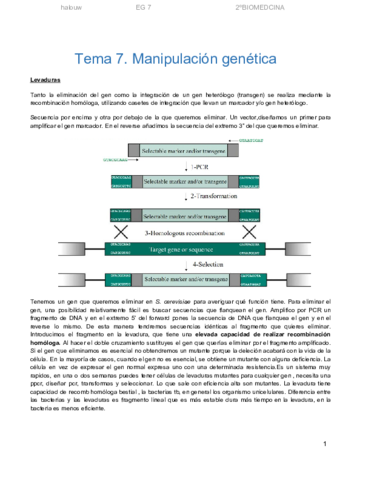 TEMA-7-INGENIERIA-GENETICA.pdf
