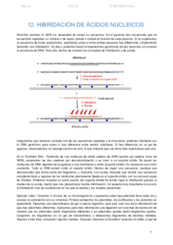 INGENIERIA-GENETICA-TEMA-12.pdf