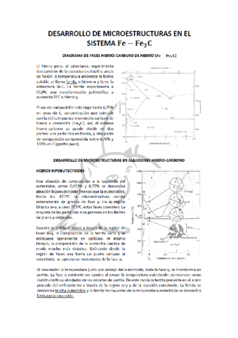 El-Sistema-Fe-Fe3C.pdf