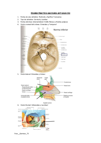 Examen-Practico-Anatomia-2019.pdf