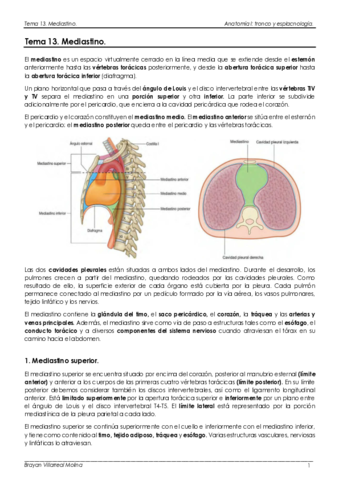 ANATOMIA-I-PRADA.pdf